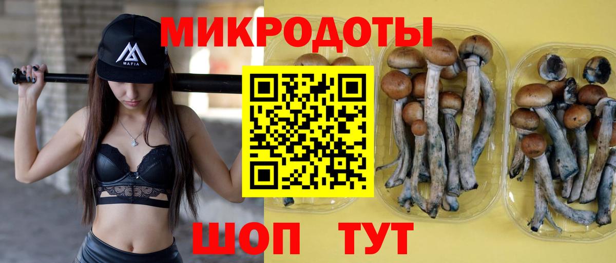 Галлюциногенные грибы GOLDEN TEACHER  Вход с VPN  Псилоцибиновые грибы ЛСД  Котлас 