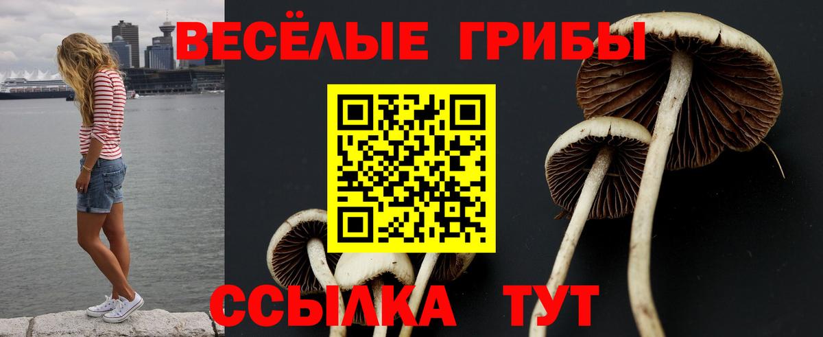 Псилоцибиновые грибы Magic Shrooms Котлас